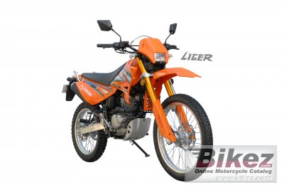 2010 Qingqi Liger QM200GY-B photo